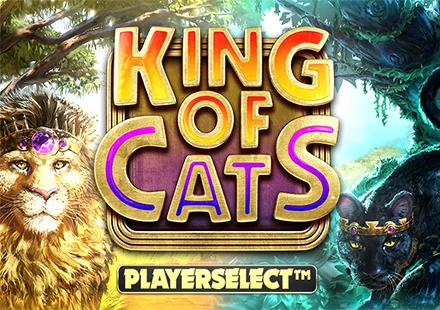 King Of Cats